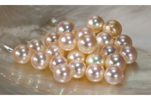 ??申京、祖巴茨、西卡等！誰是最佳陣容最大遺珠？