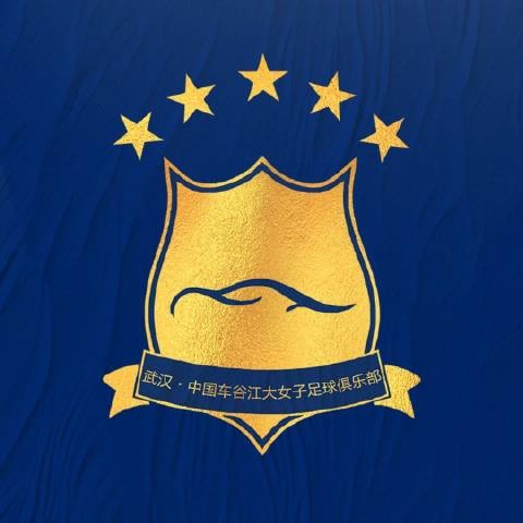 賽季初女超聯(lián)賽實施限薪、限國腳政策，車谷江大流失大批優(yōu)秀隊員