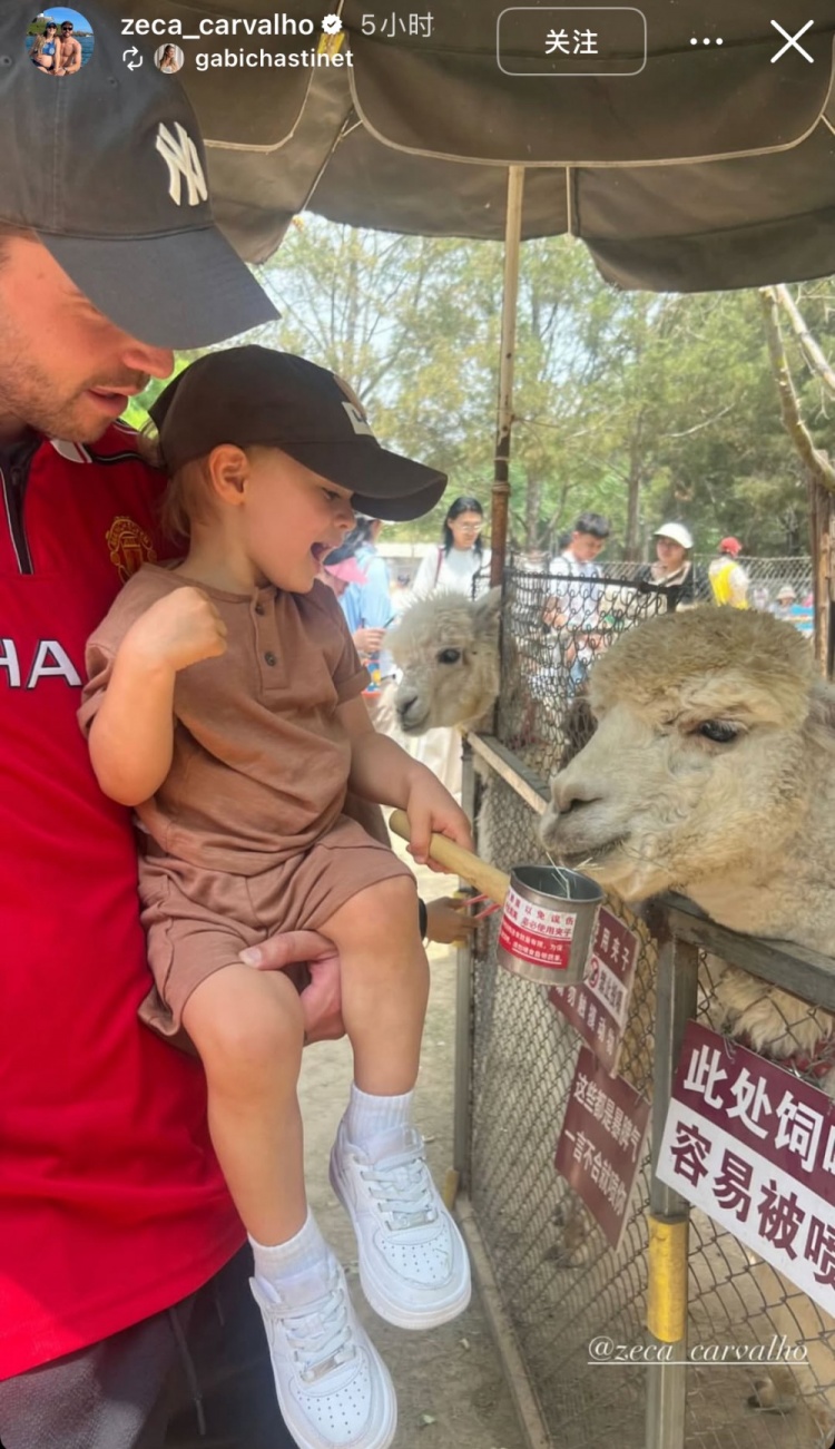 親子時(shí)光！泰山外援澤卡更新社媒，帶孩子在動(dòng)物園玩耍&喂食羊駝