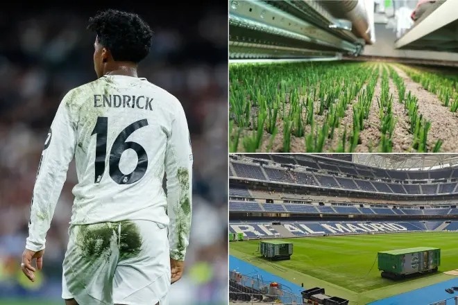 皇馬球衣上的綠色斑點(diǎn)之謎：球場使用無害綠色油漆，美化草皮接縫