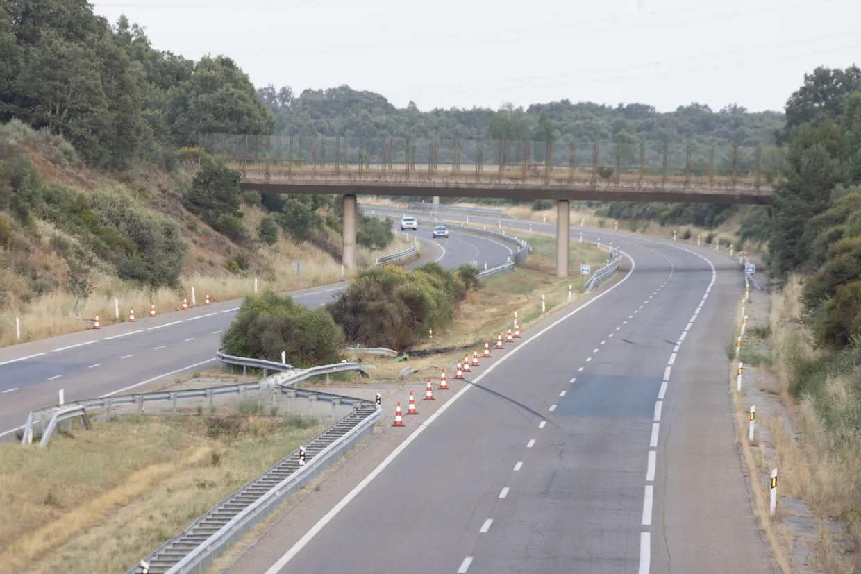 太陽報：若塔車禍地點常有野生動物出沒，這可能是導(dǎo)致事故的原因