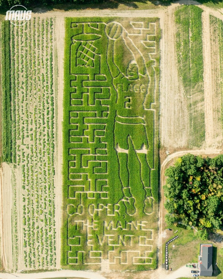 整活新高度??！獨(dú)行俠曬照 新科狀元弗拉格被“種”進(jìn)了玉米地