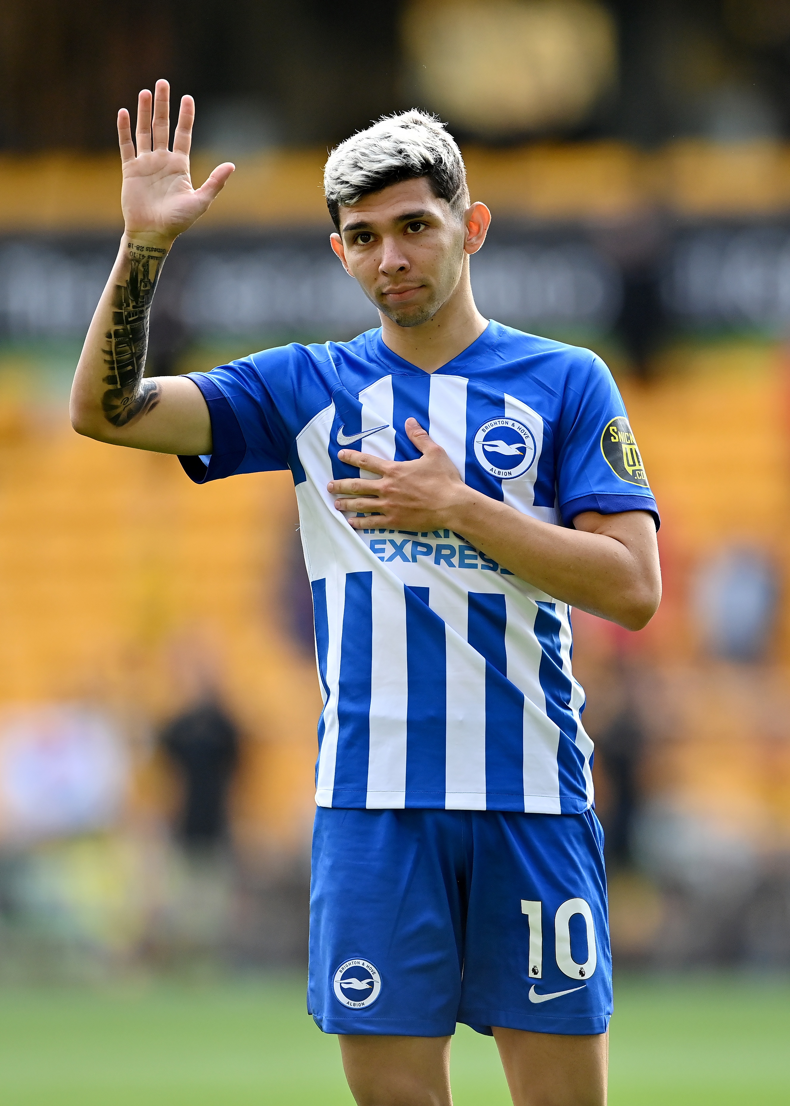 赫爾澤勒：恩西索潛力巨大，但難以適應(yīng)布萊頓的環(huán)境