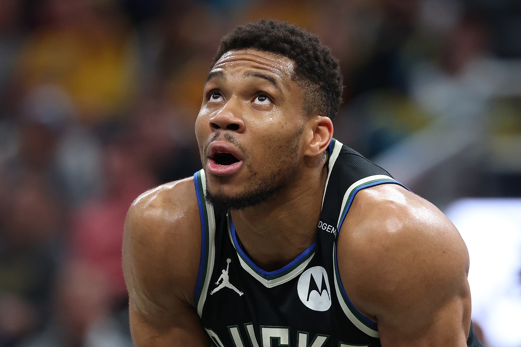 雄鹿新賽季挑戰(zhàn)：字母哥能做到什么程度？庫茲馬能否實現(xiàn)反彈？